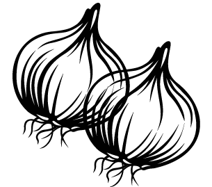 SOĞAN